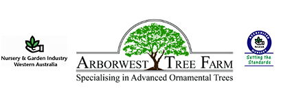 Arborwest Tree Farm